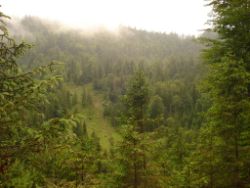2013-06-22_Hirschhoerndl_Jochberg (245).JPG
